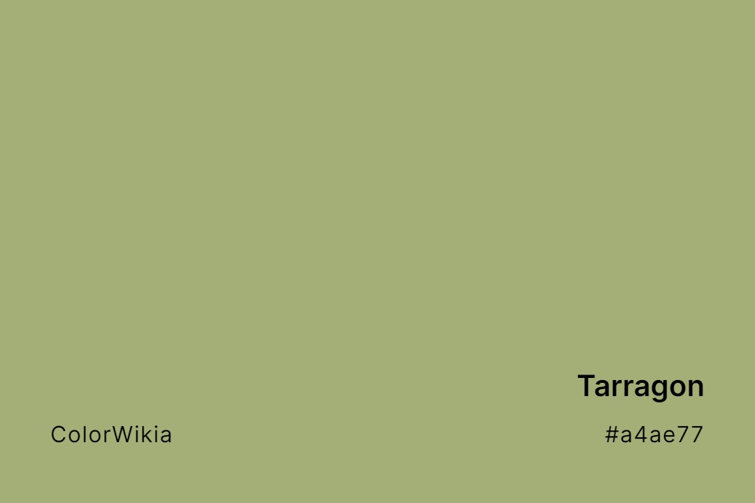 Tarragon Color – #a4ae77: Codes and Complete Breakdown