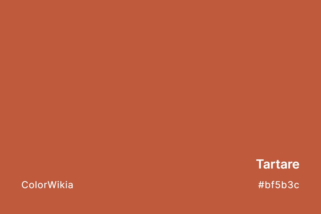Tartare Color – #bf5b3c: Codes and Complete Breakdown