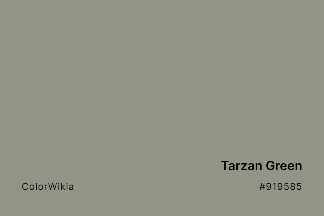 Tarzan Green Color – #919585: Codes and Complete Breakdown