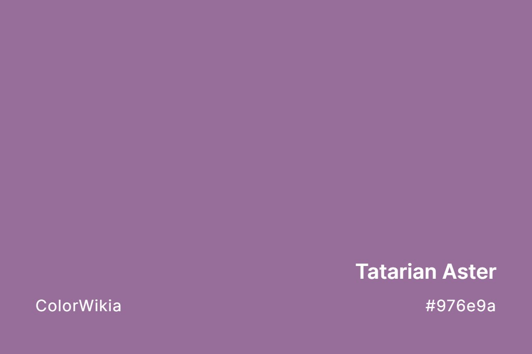 tatarian aster color 976e9a