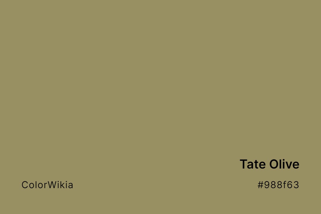 Tate Olive Color – #988f63: Codes and Complete Breakdown