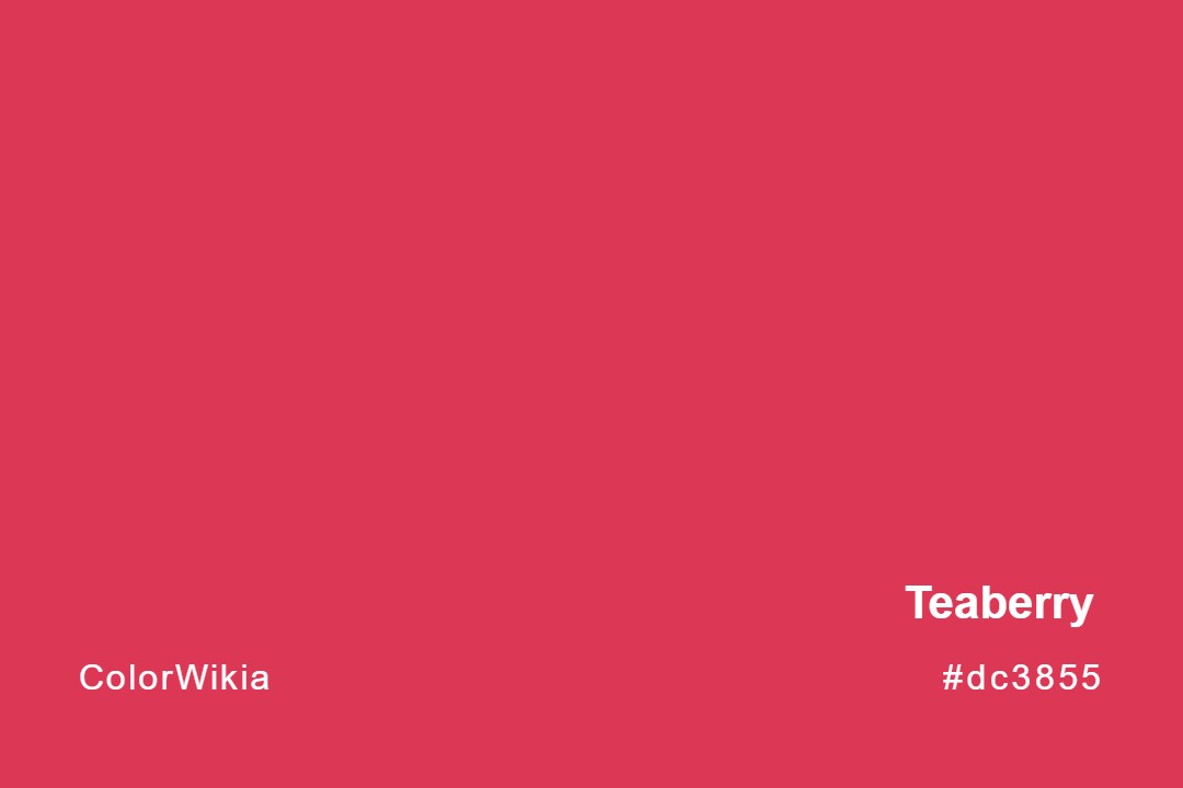 Teaberry Color – #dc3855: Codes and Complete Breakdown