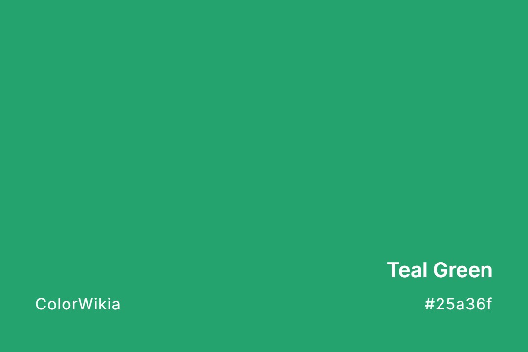 Teal Green Color – #25a36f: Codes and Complete Breakdown