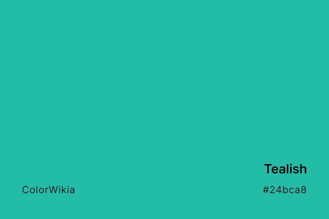 Tealish Color – #24bca8: Codes and Complete Breakdown