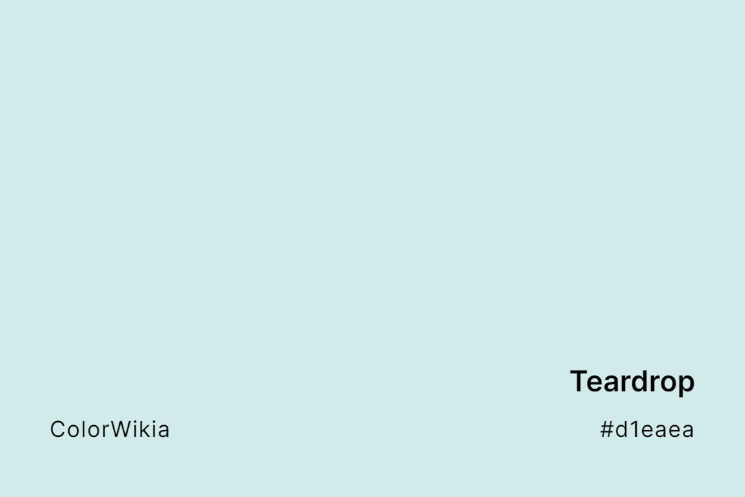 Teardrop Color – #d1eaea: Codes and Complete Breakdown