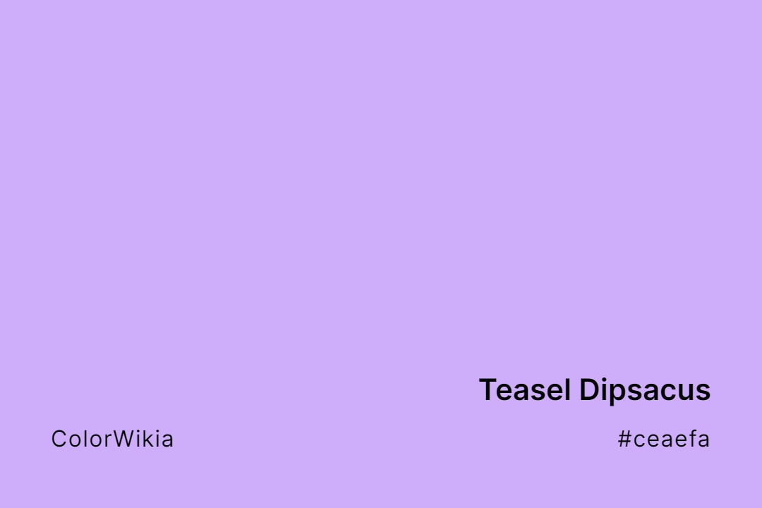 Teasel Dipsacus Color – #ceaefa: Codes and Complete Breakdown
