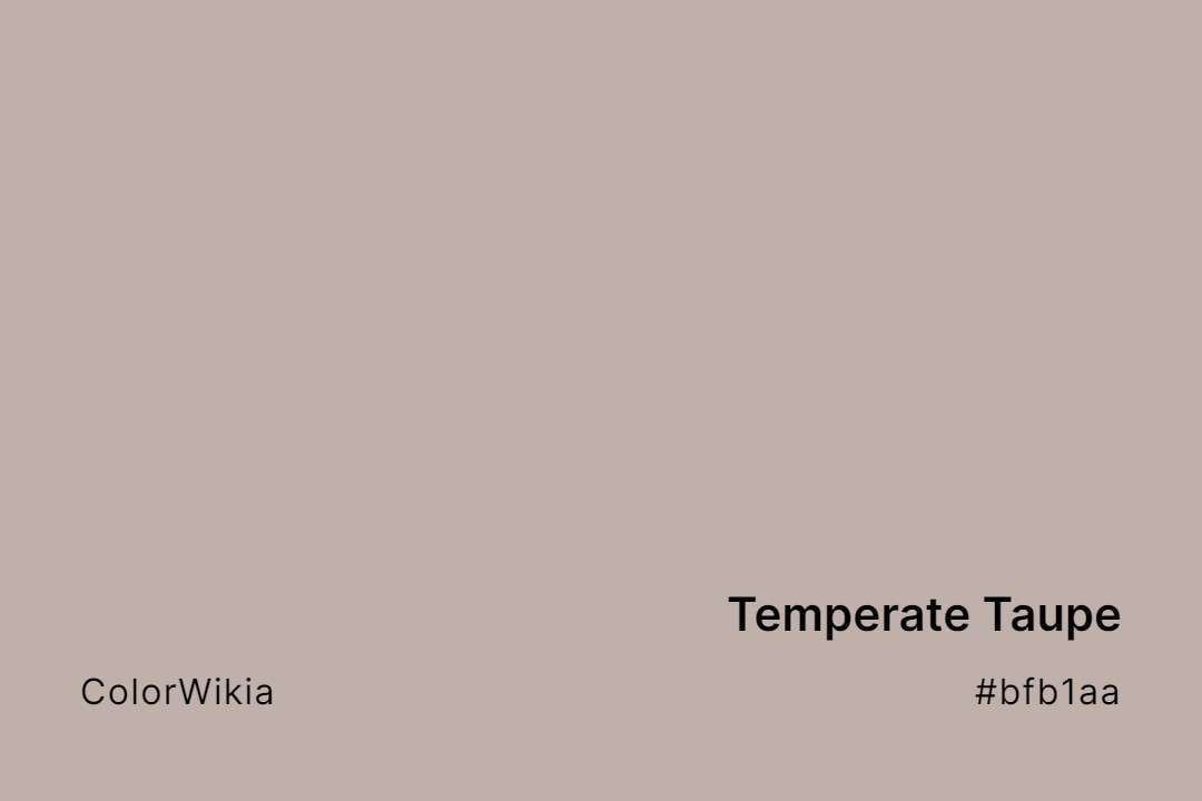 Temperate Taupe Color – #bfb1aa: Codes and Complete Breakdown
