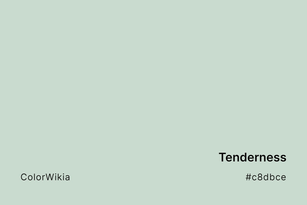 Tenderness Color – #c8dbce: Codes and Complete Breakdown