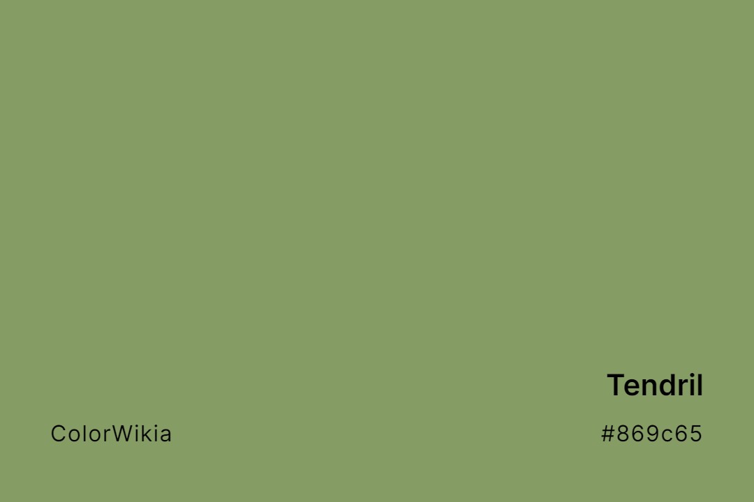 Tendril Color – #869c65: Codes and Complete Breakdown
