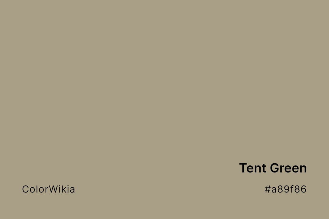Tent Green Color – #a89f86: Codes and Complete Breakdown