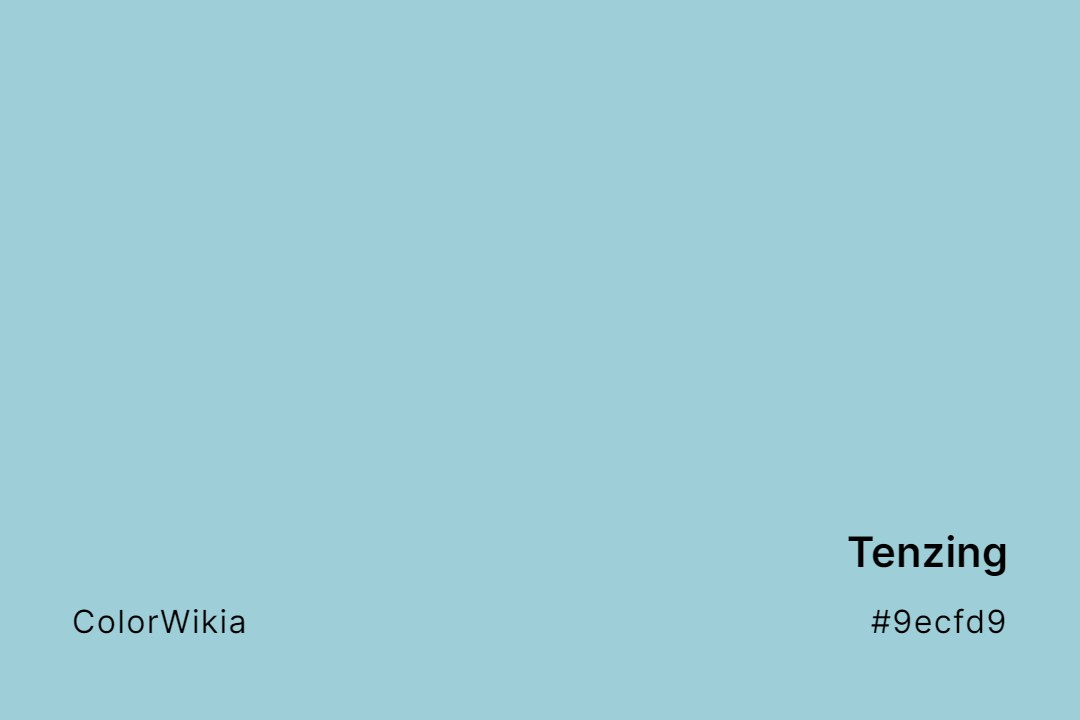 Tenzing Color – #9ecfd9: Codes and Complete Breakdown