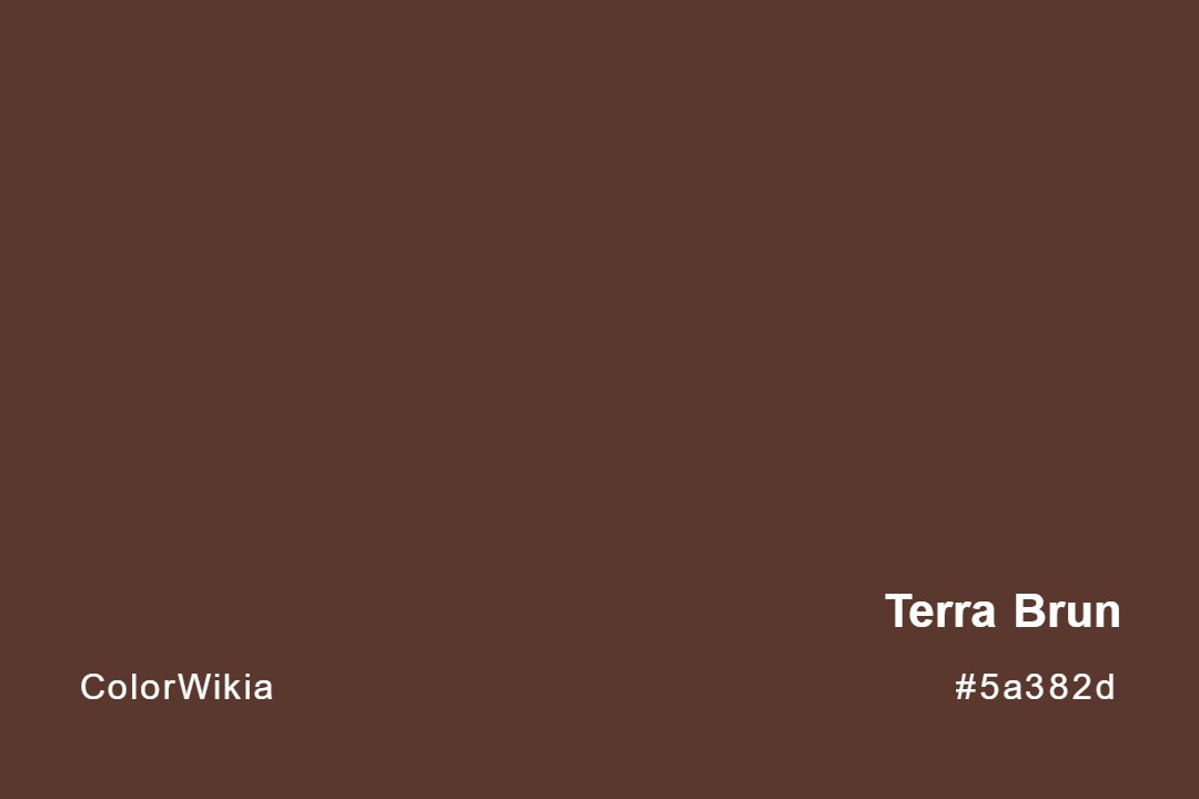 terra brun color 5a382d