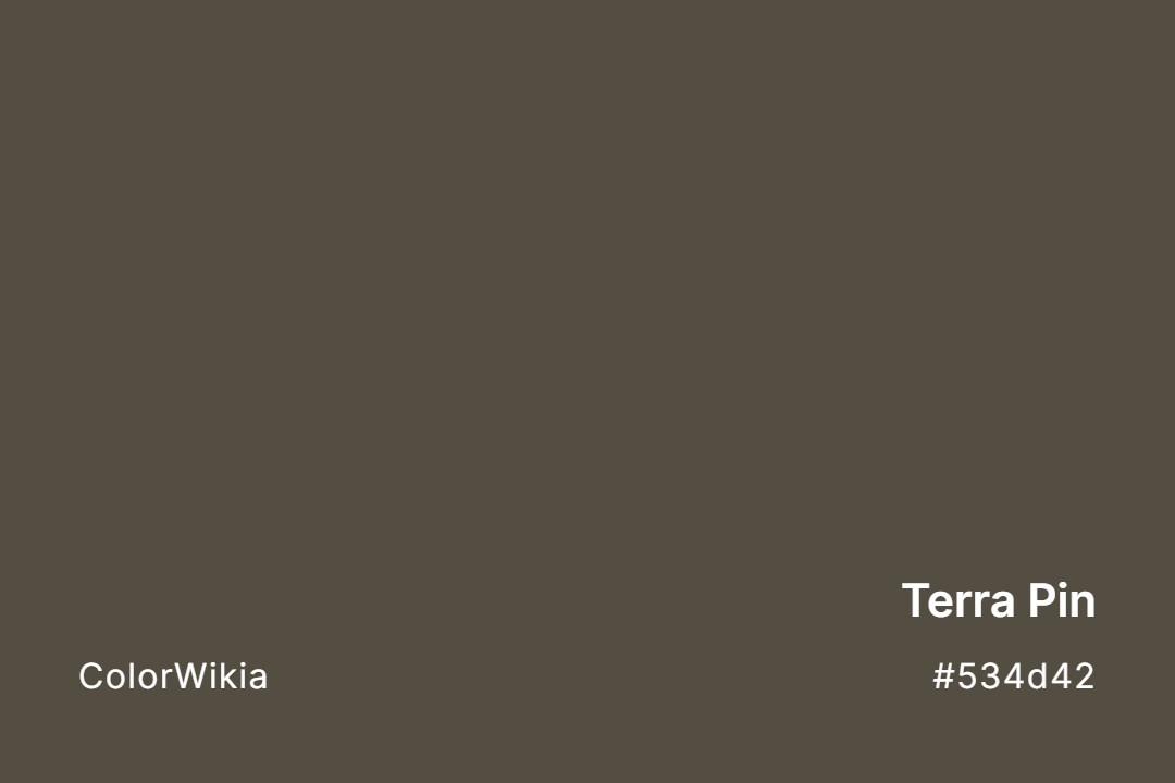 terra pin color 534d42
