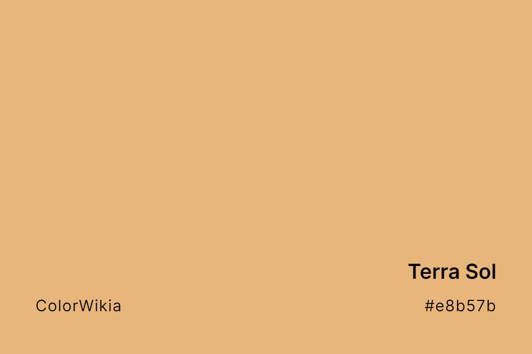 terra sol color e8b57b