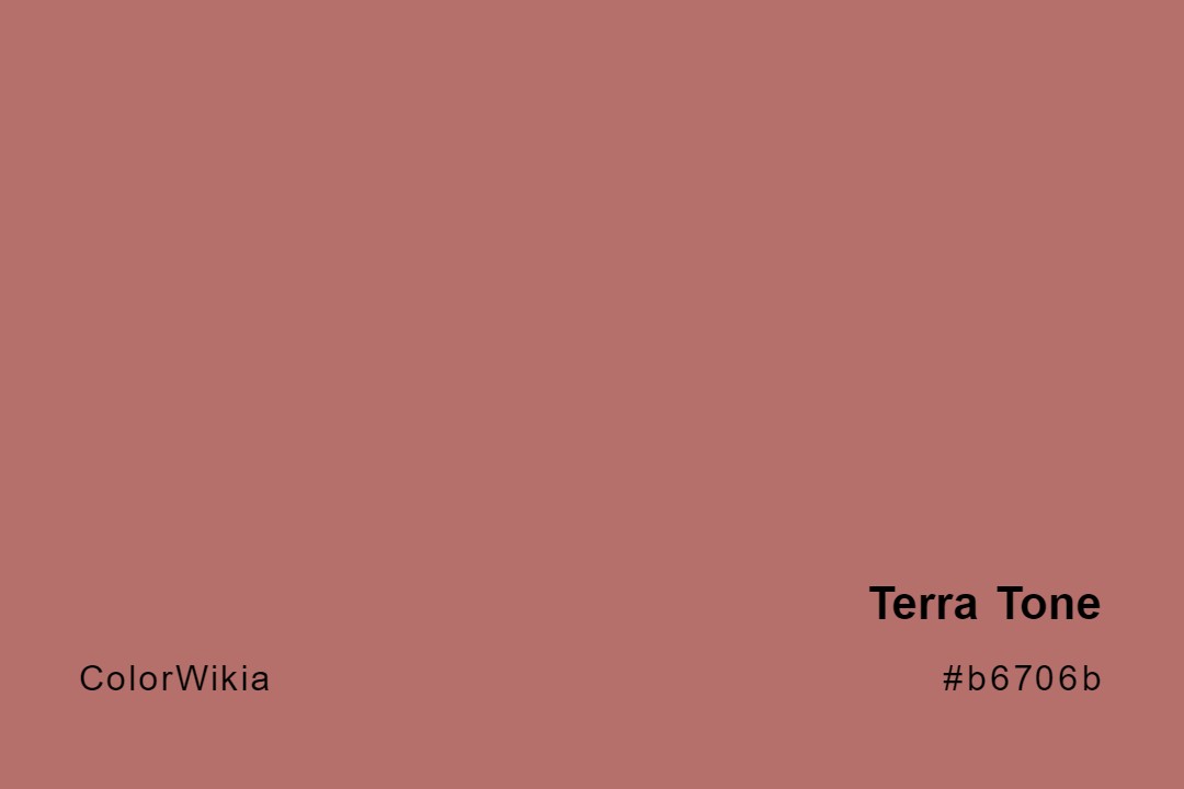 terra tone color b6706b