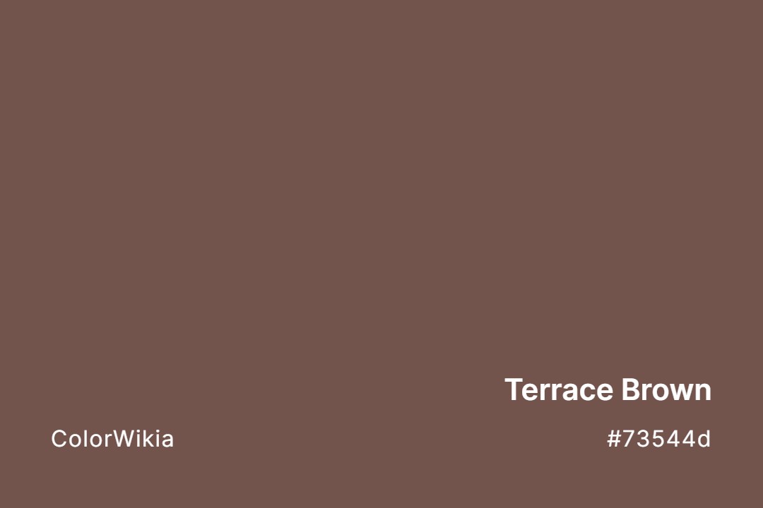 terrace brown color 73544d