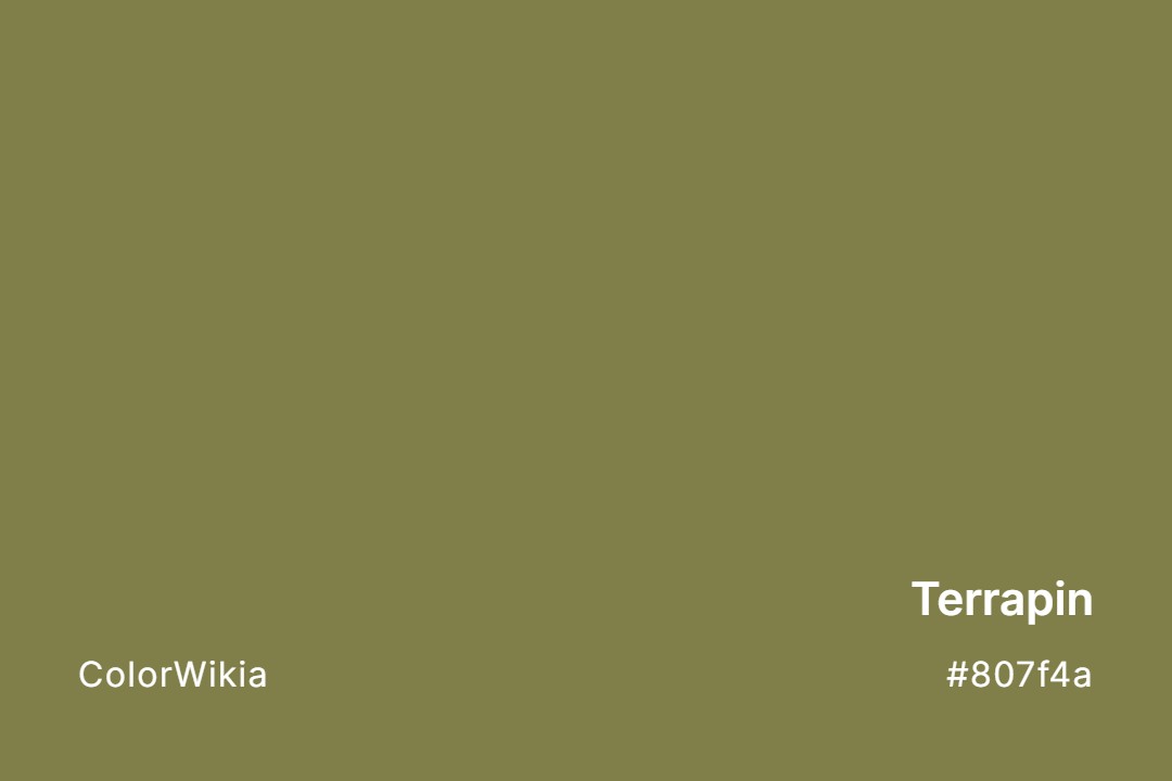 Terrapin Color – #807f4a: Codes and Complete Breakdown