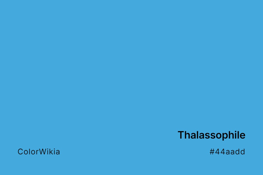 Thalassophile Color – #44aadd: Codes and Complete Breakdown