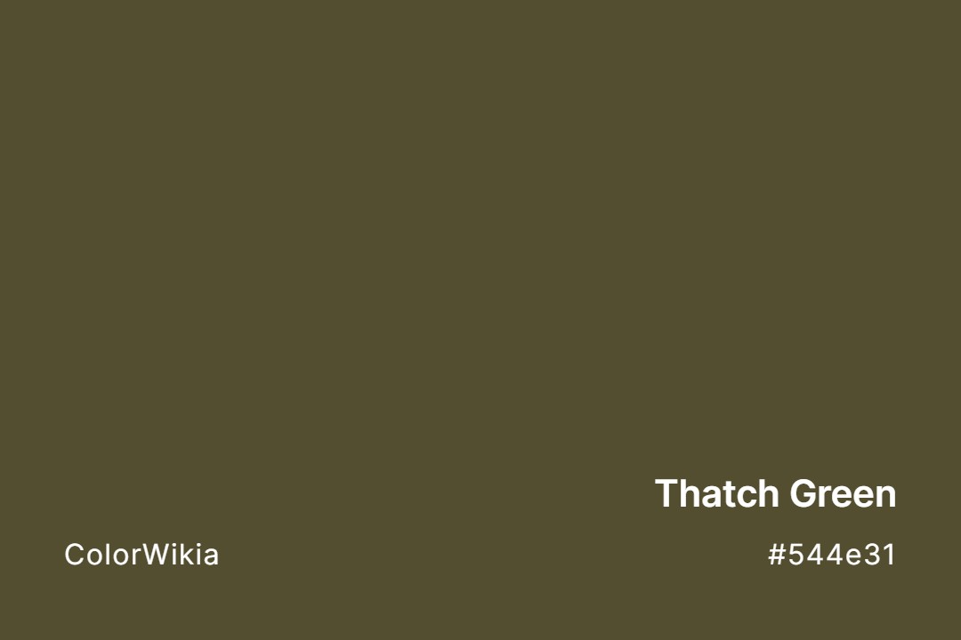 Thatch Green Color – #544e31: Codes and Complete Breakdown