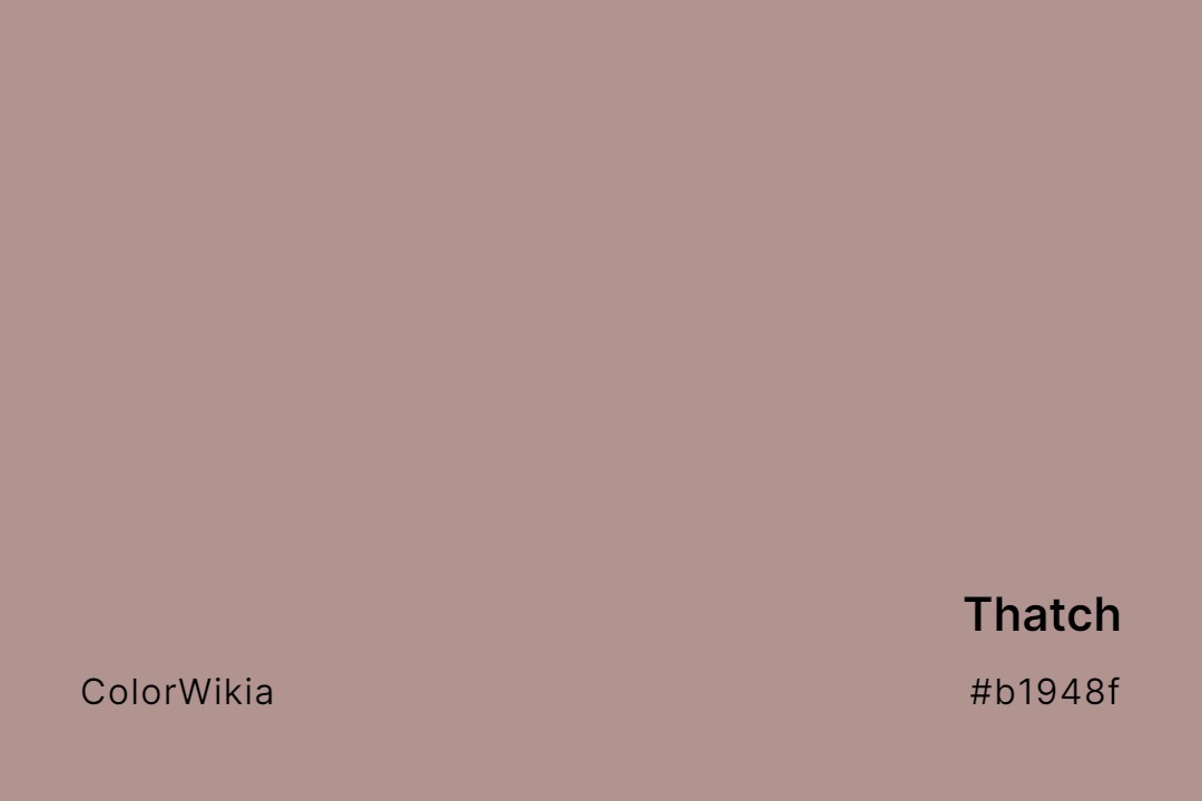 Thatch Color – #b1948f: Codes and Complete Breakdown