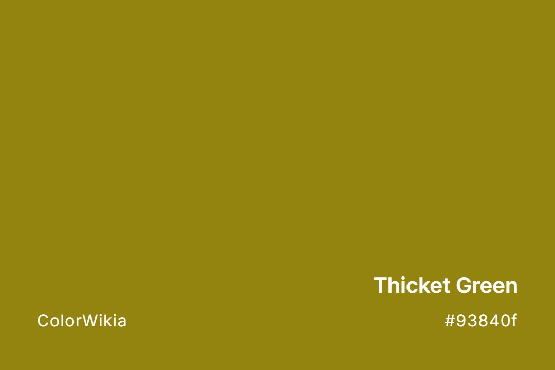 thicket green color 93840f