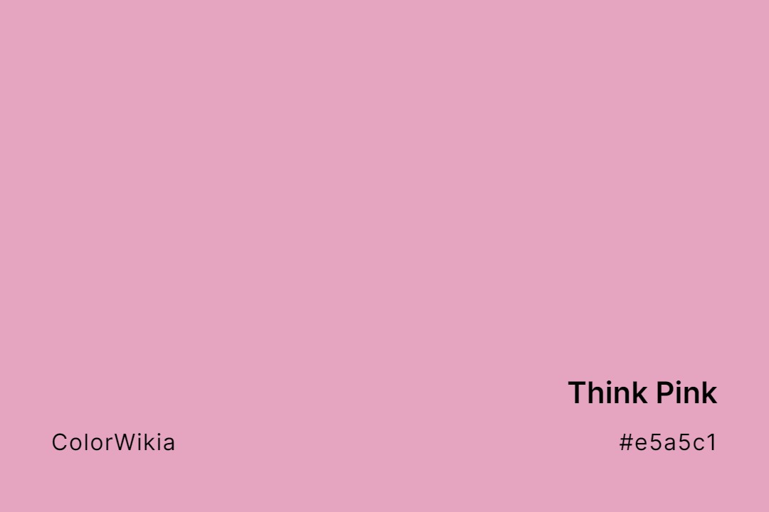 Think Pink Color – #e5a5c1: Codes and Complete Breakdown