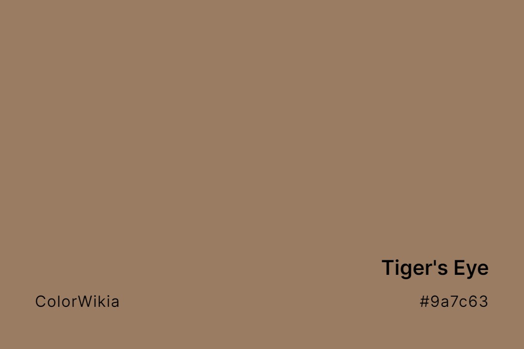 tigers eye color 9a7c63