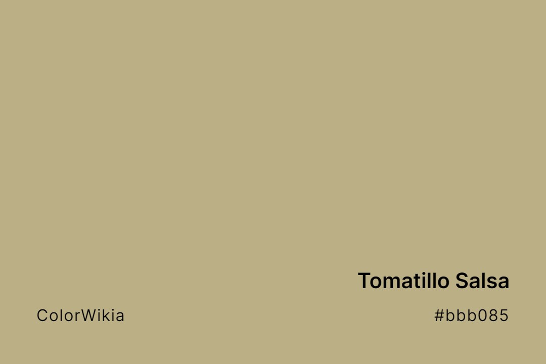 tomatillo salsa color bbb085