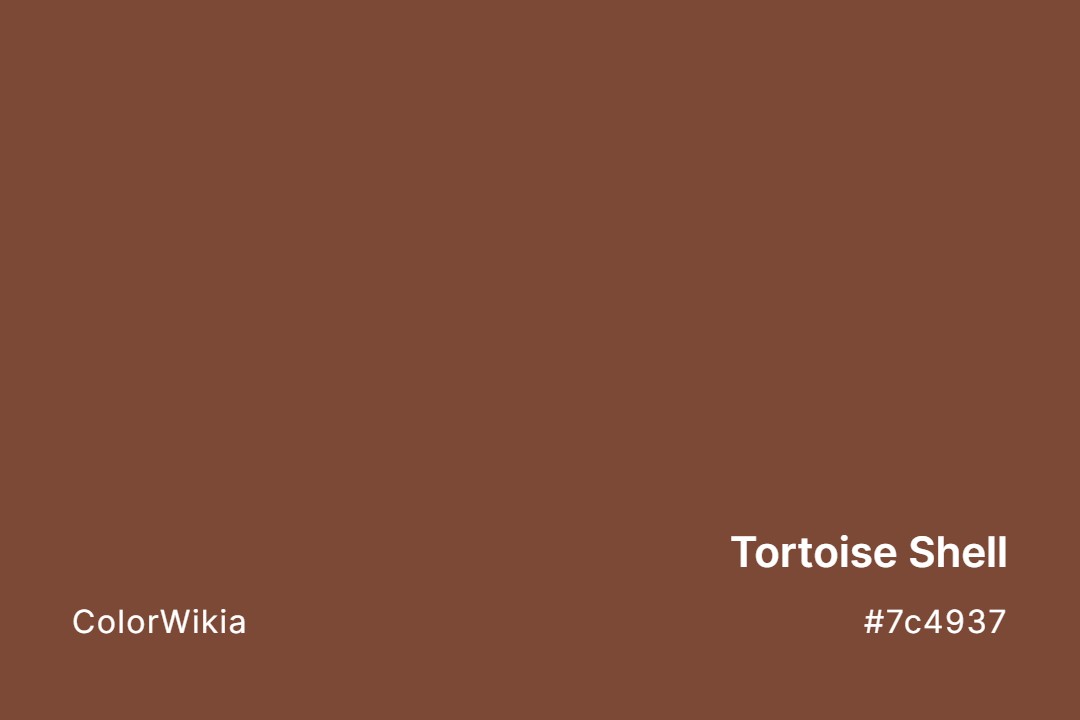 Tortoise Shell Color – #7c4937: Codes and Complete Breakdown