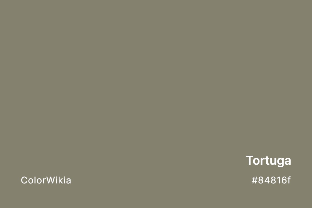 Tortuga Color – #84816f: Codes and Complete Breakdown