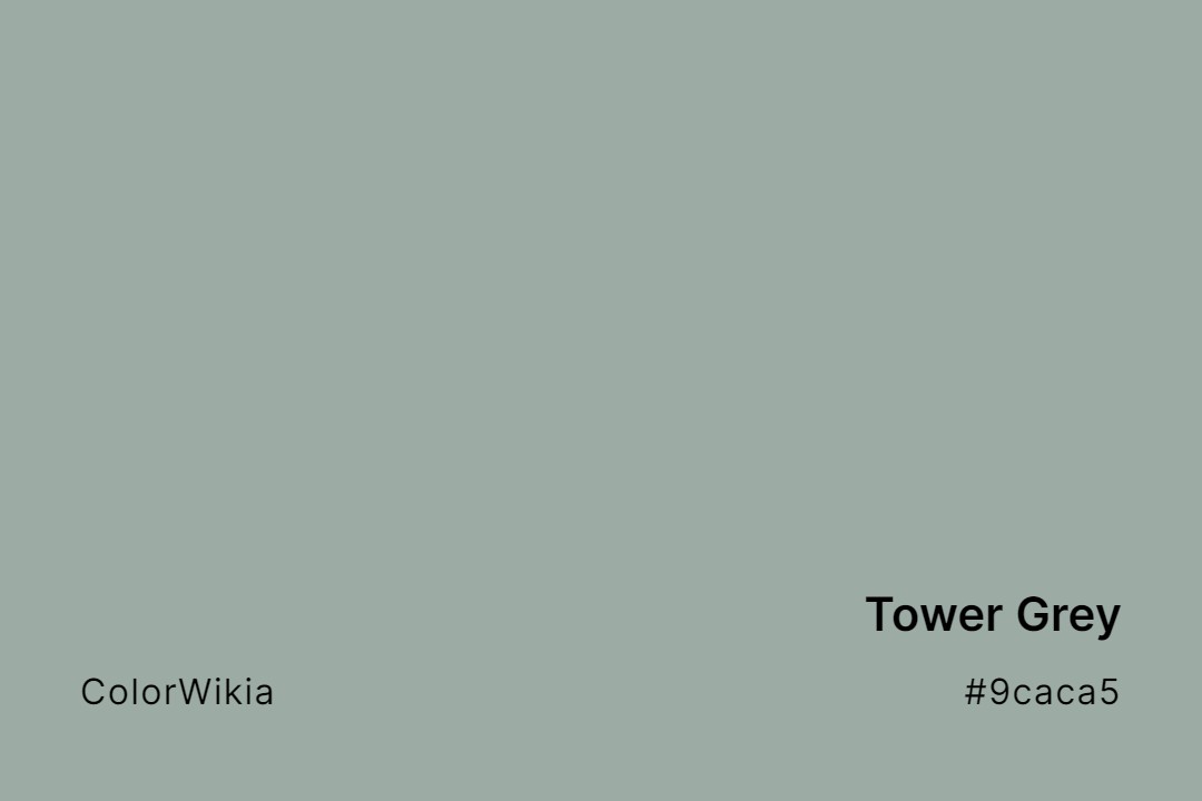 tower grey color 9caca5