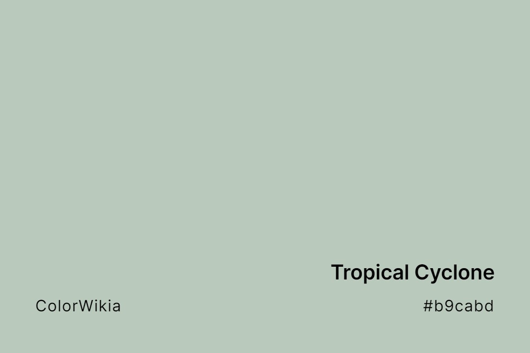Tropical Cyclone Color – #b9cabd: Codes and Complete Breakdown