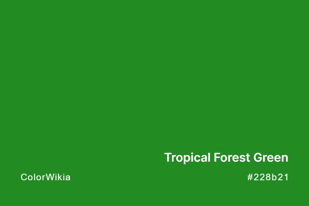 tropical forest green color 228b21