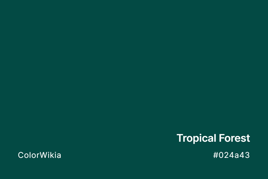 tropical forest color 024a43