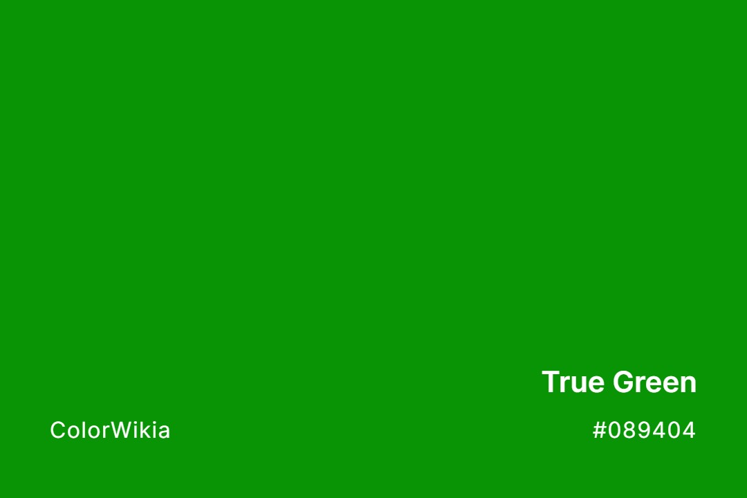 True Green Color – #089404: Codes and Complete Breakdown