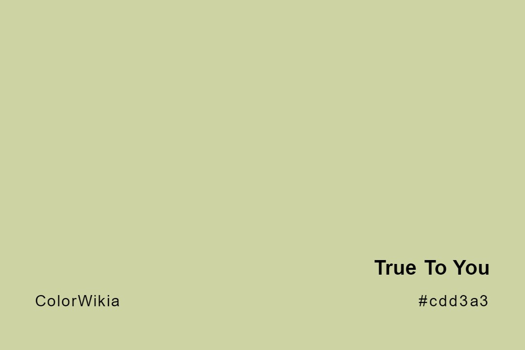 True To You Color – #cdd3a3: Codes and Complete Breakdown