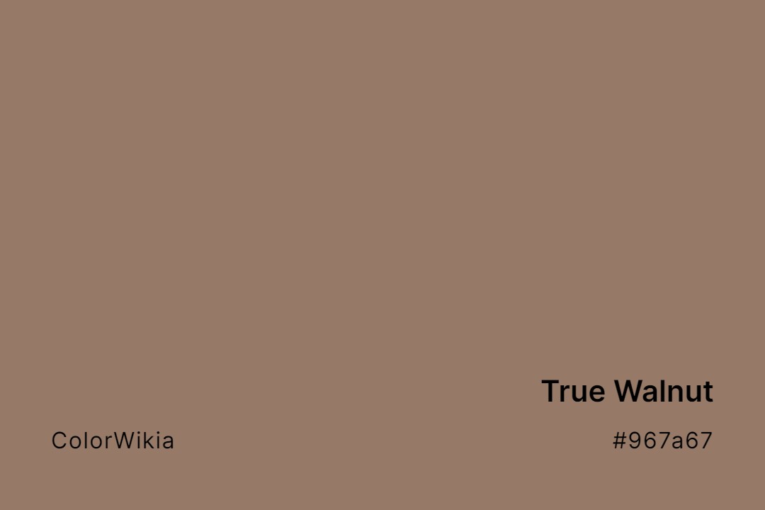 True Walnut Color – #967a67: Codes and Complete Breakdown
