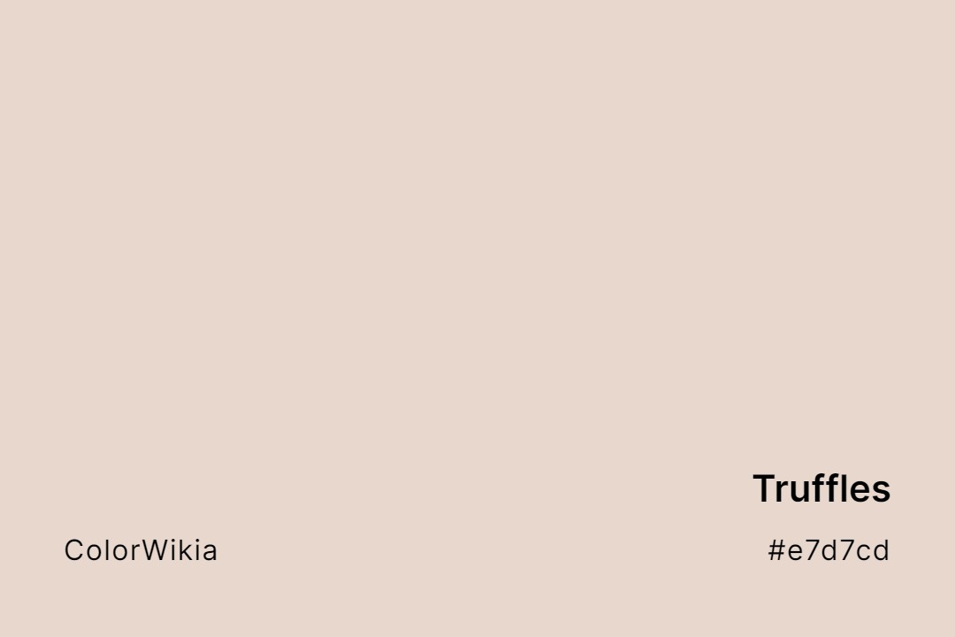 Truffles Color – #e7d7cd: Codes and Complete Breakdown