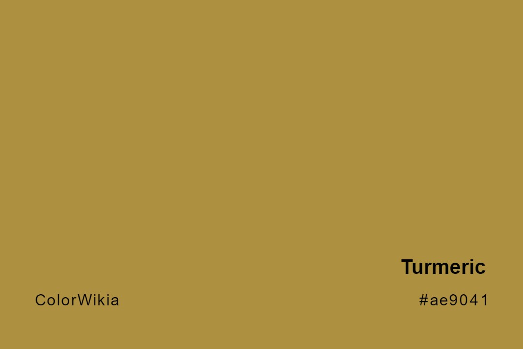 Turmeric Color – #ae9041: Codes and Complete Breakdown