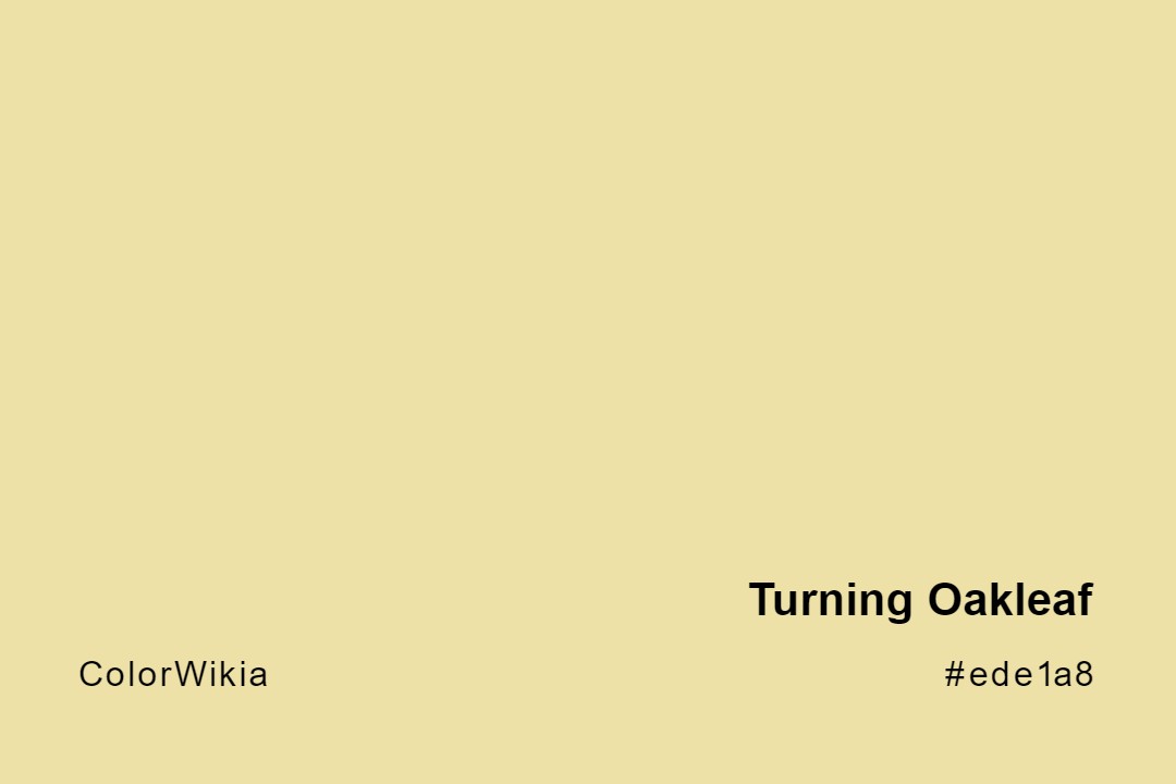 Turning Oakleaf Color – #ede1a8: Codes and Complete Breakdown