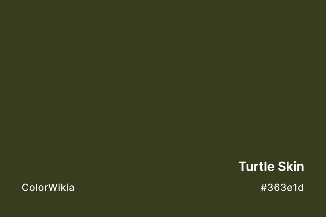 turtle skin color 363e1d