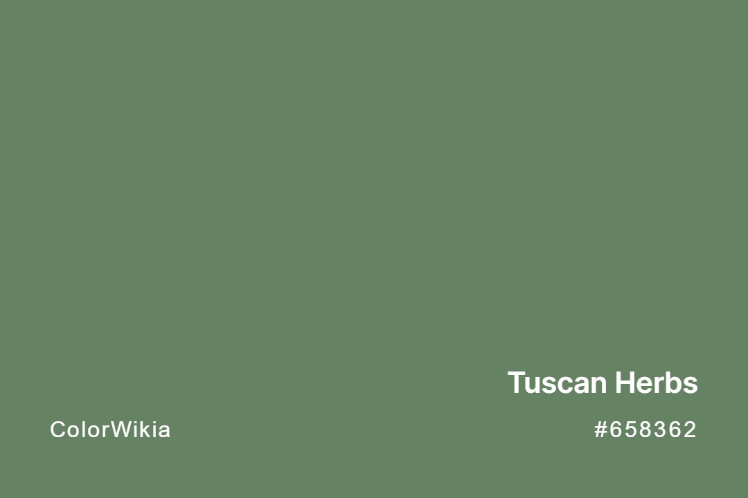 tuscan herbs color 658362