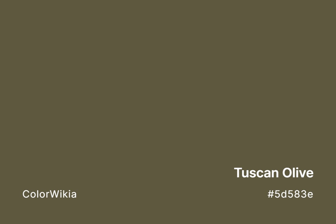 tuscan olive color 5d583e