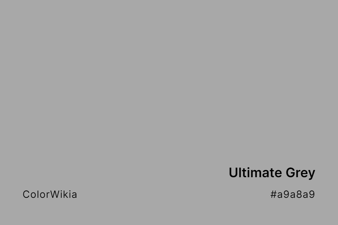 Ultimate Grey Color – #a9a8a9: Codes and Complete Breakdown
