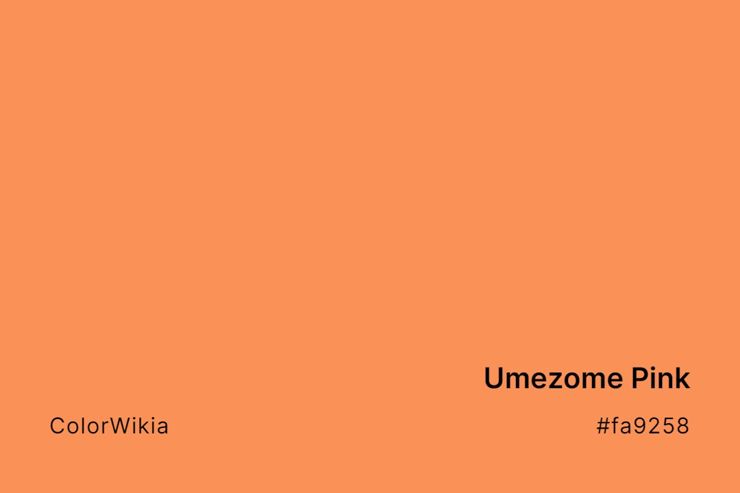 Umezome Pink Color – #fa9258: Codes and Complete Breakdown