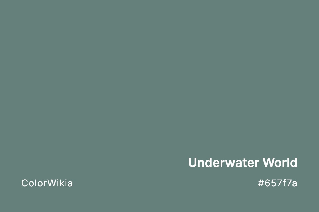 Underwater World Color – #657f7a: Codes and Complete Breakdown