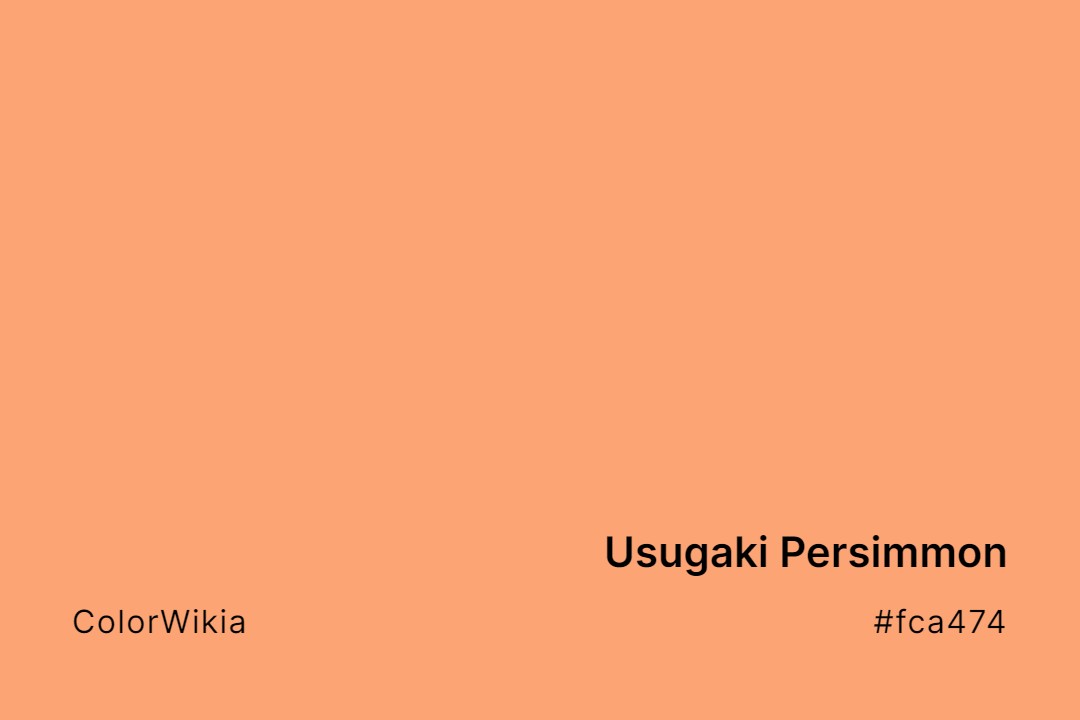 usugaki persimmon color fca474