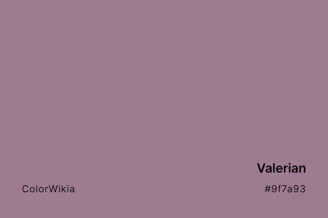 Valerian Color – #9f7a93: Codes and Complete Breakdown