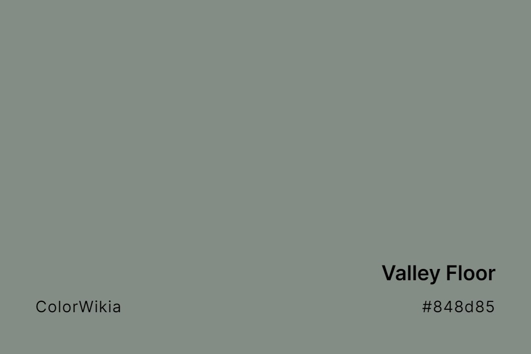 valley floor color 848d85