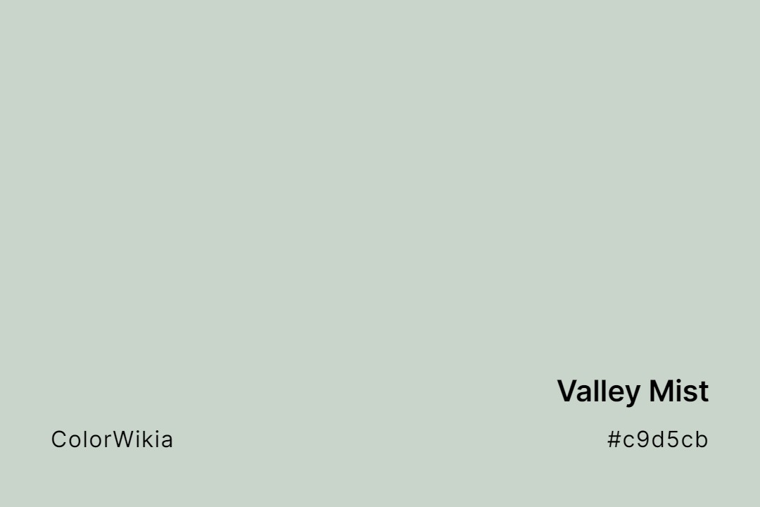 valley mist color c9d5cb